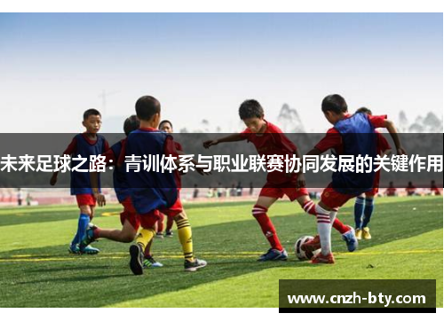 未来足球之路：青训体系与职业联赛协同发展的关键作用
