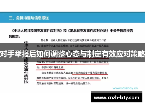 对手举报后如何调整心态与制定有效应对策略