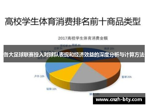 各大足球联赛投入对球队表现和经济效益的深度分析与计算方法