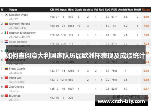 如何查阅意大利国家队历届欧洲杯表现及成绩统计