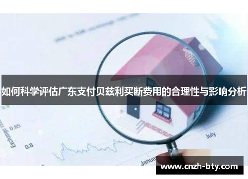 如何科学评估广东支付贝兹利买断费用的合理性与影响分析
