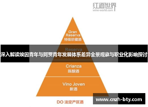 深入解读埃因青年与阿贾青年发展体系差异全景观察与职业化影响探讨 深入解读埃因青年与阿贾青年发展体系差异全景观察与职业化影响探讨